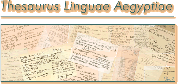 Thesaurus Linguae Aegyptiae - der altäyptische Wortschatz im Internet